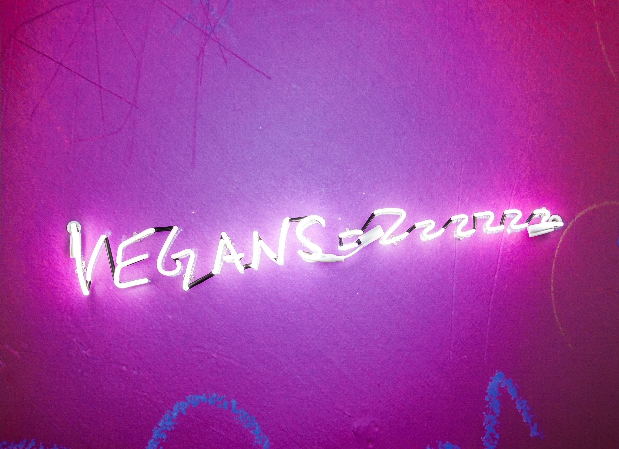 Neon Art - VEGANS = Zzzzzzz